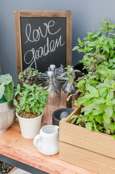 Piante verdi e vegetali con attrezzi da giardino — Foto Stock