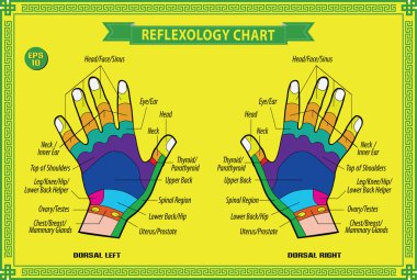 Hand reflexology chart  clipart