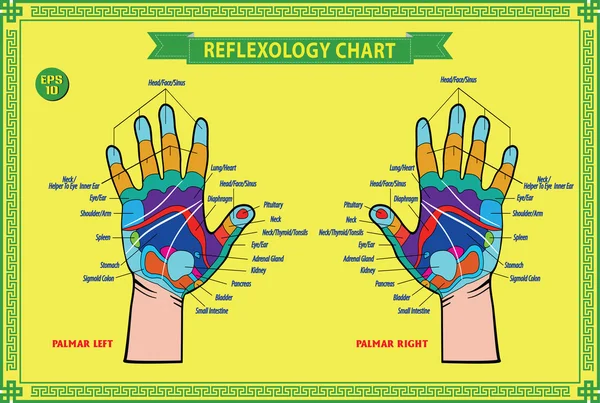Grafico di riflessologia della mano — Vettoriale Stock