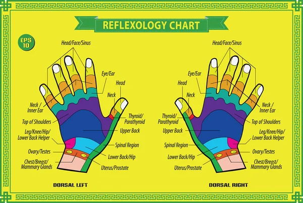 Reflexología de la mano — Vector de stock