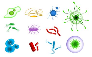 Gerçekçi bakteri seti ya da çeşitli mikroskobik virüsler ve mikroplar veya izole edilmiş gerçekçi mikro organizma bakterileri. 10 vektör, değiştirmesi kolay