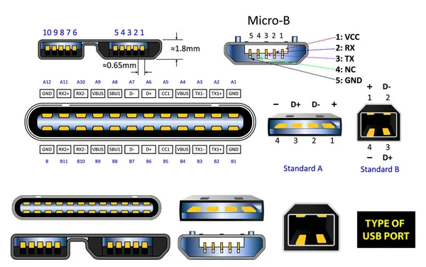 Satz Von Computer Anschlüssen Oder Usb Universal Steckverbinder Symbole Oder — Stockvektor