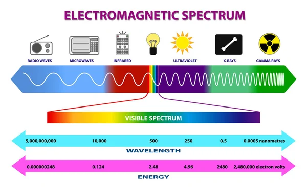 Verzameling Elektromagnetische Spectrumdiagram Radiogolfspectrum Ultraviolet Lichtdiagram Slaapplaatsen Gemakkelijk Aan Passen — Stockvector