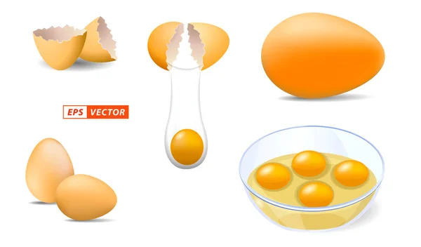 一套现实的 闪烁着光芒的鸡蛋分离或具有明亮风格或破碎蛋壳的鸡蛋壳 倒入碗的概念 Eps向量 — 图库矢量图片