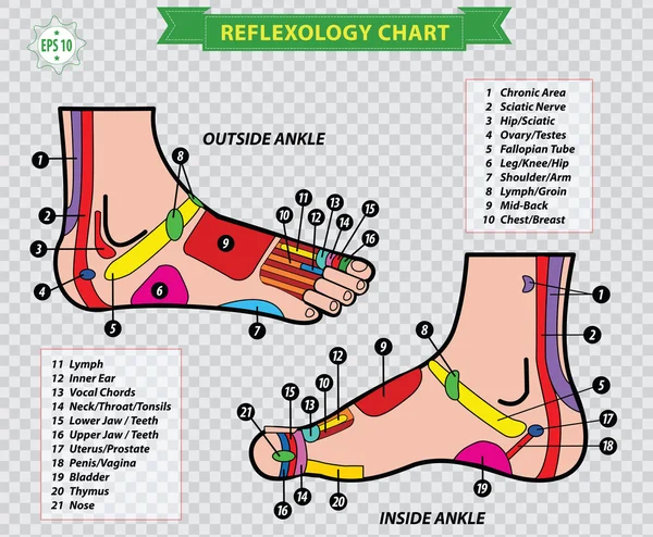 Grafico di riflessologia del piede — Vettoriale Stock