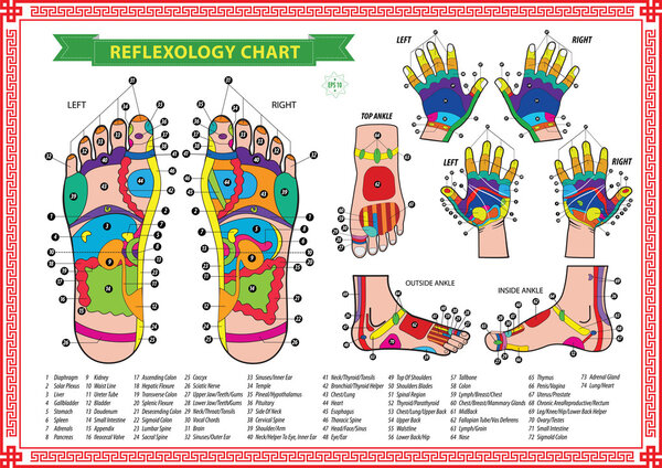 Foot and Hand reflexology chart