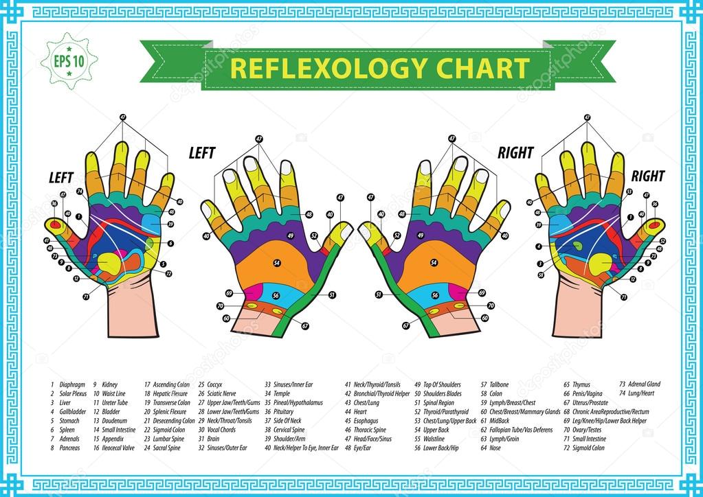 Reflexology Hand Map Chart