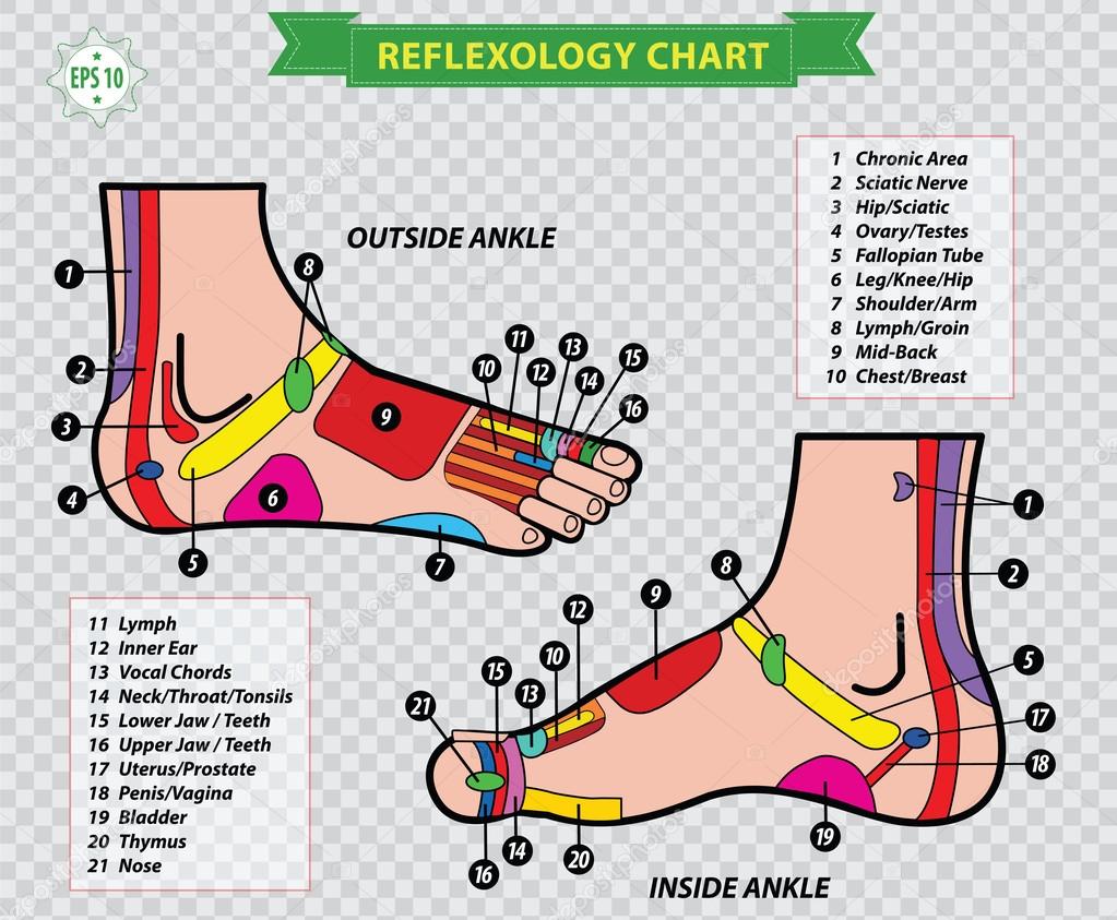 Foot Pressure Points Reflexology Chart