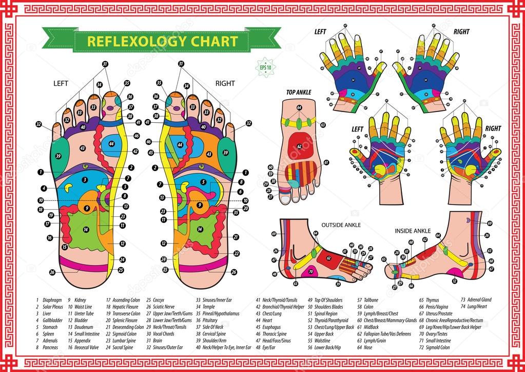 Foot and Hand reflexology chart