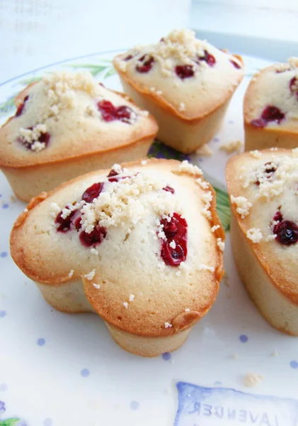 Muffins com cranberries e amêndoas — Fotografia de Stock