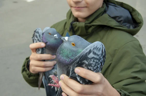 Ein unbekannter Junge hält zwei Tauben in den Händen — Stockfoto