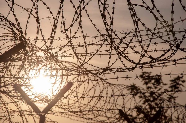 Silhouette of a barbed wire fence steel jail with the sunset in the background