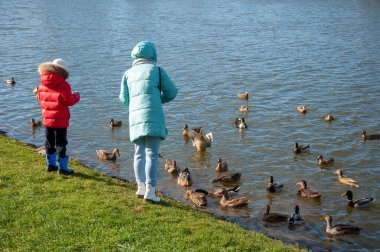 Anne ve oğul gölün kıyısında duran ördekleri besliyor.