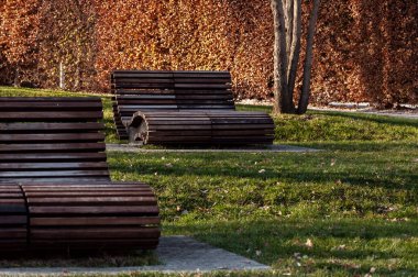 Sonbahar parkında modern ahşap bank. Stadyumun yanındaki serin bölge..