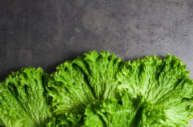 Siyah arkaplanda izole edilmiş yeşil marulun seçili odak resmi.