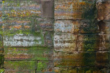 Yosun ve yosunlu eski bir binanın eski, ıslak, taş duvarı. metin için yeri olan arkaplan