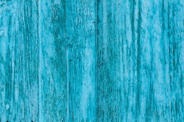 Eski boyanmış tahtaların arka planı. Grunge Açık Mavi Boyalı Tahta Döşemeli Arka plan. Patentli ve çatlamış mavi boyalı tahta bir duvar.