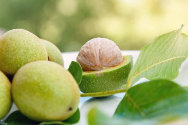Yeşillik arka planında yeşil kabuklu olgun ceviz. Yeşil kabuklu ceviz