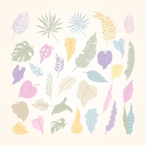 Ensemble Éléments Feuilles Plantes Tropicales Simple Tendance Avec Design Couleur — Image vectorielle