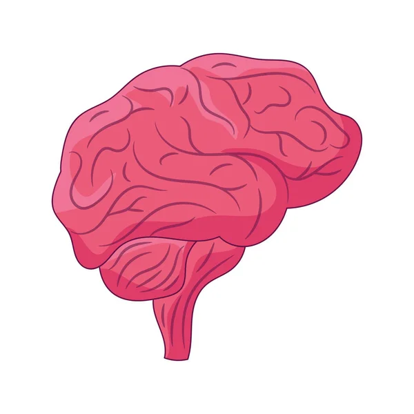 Human Brain Line Art Schwarz Weiß Vektorillustration Isoliertes Lineares Piktogramm — Stockvektor