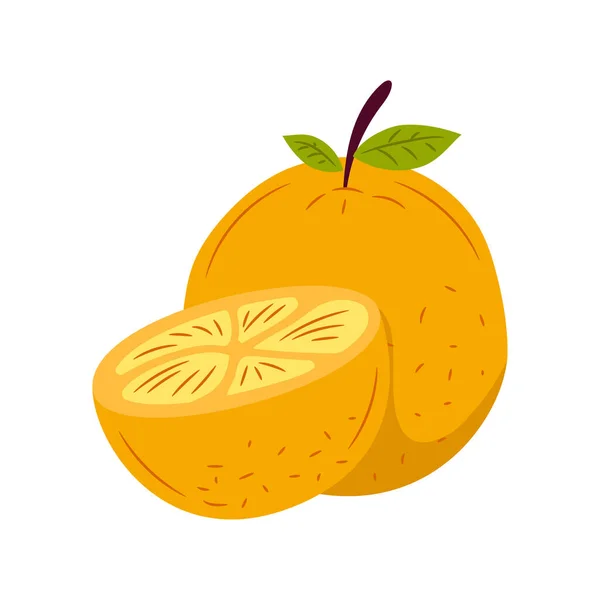 Doodle Orange Frukt Vektor Med Färgad Hand Ritad Skiss Stil — Stock vektor