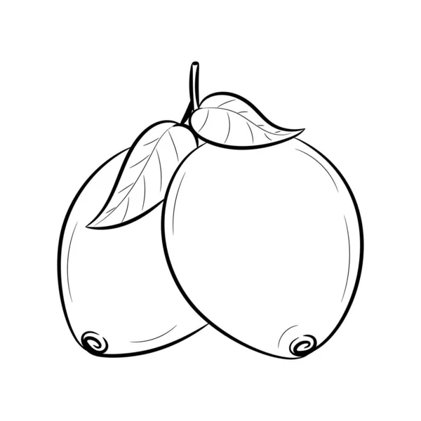 Doodle Illustration Vectorielle Fruits Citron Avec Dessin Main Style Croquis — Image vectorielle