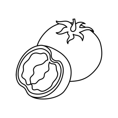 Basit domates, elle çizilmiş vektör çizimi