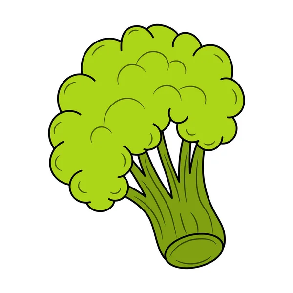 Enkel Broccoli Med Färgade Handritade Kontur Vektor Skiss Illustration — Stock vektor