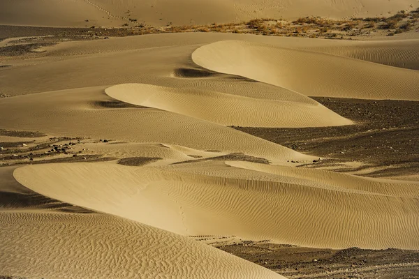 Sand dune at Nubra valley Ladakh ,India — Stock Photo, Image