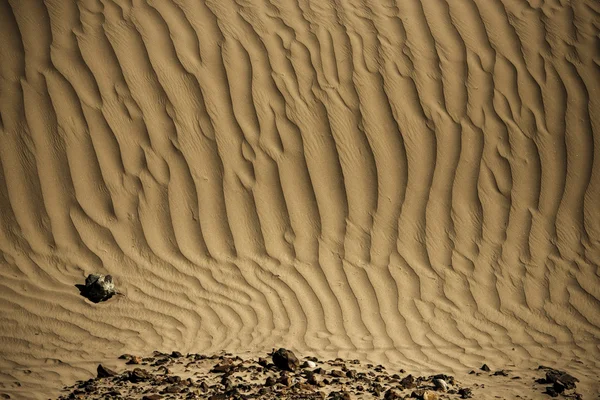Sand Dune in Nubra Valley Leh Ladakh, India - September 204 — стоковое фото