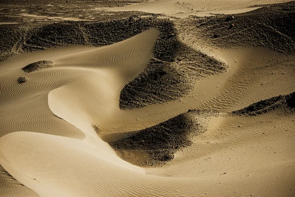 Písečné duny v údolí Nubra Ladaku, Indie — Stock fotografie