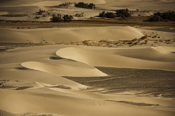 Duna de arena en el valle de Nubra Ladakh, India —  Fotos de Stock