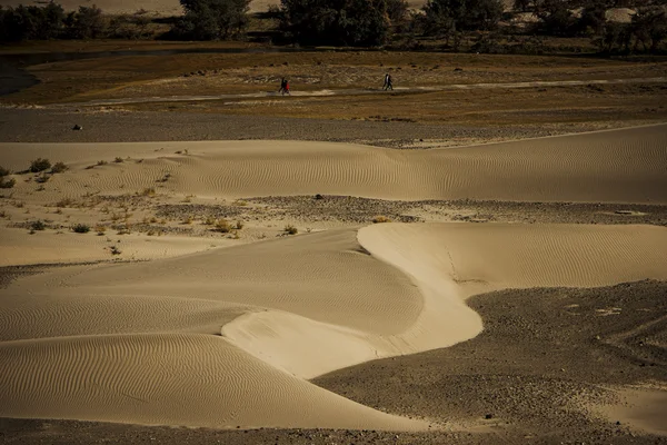 Duna de arena en el valle de Nubra Ladakh, India —  Fotos de Stock