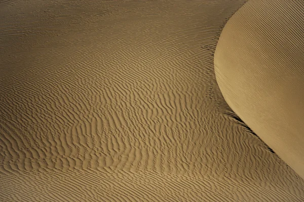 Sanddyn på Nubra valley Lindwall, Indien — Stockfoto
