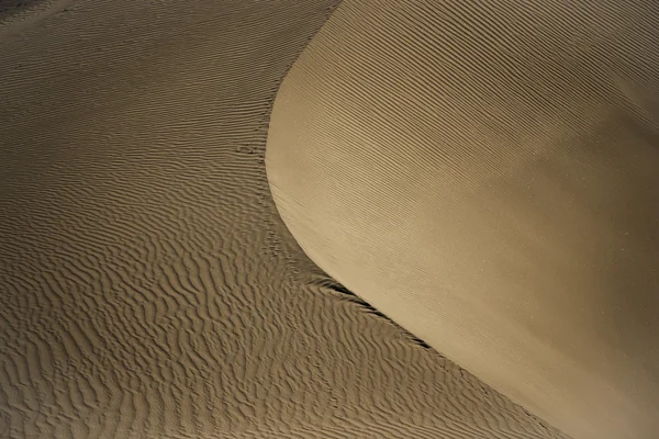 Duna de arena en el valle de Nubra Ladak, India —  Fotos de Stock