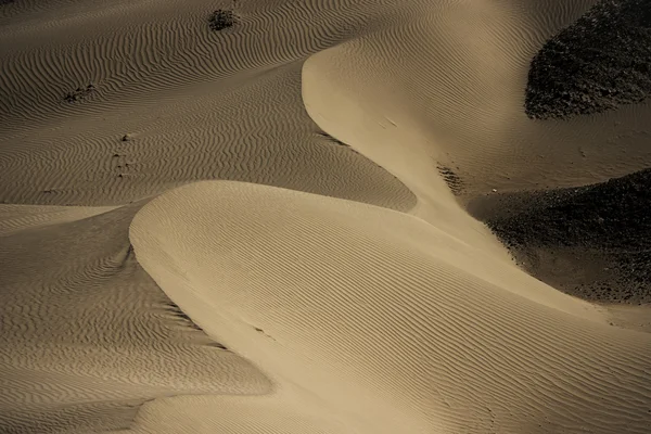 Dune de sable dans la vallée de Nubra Ladak, Inde — Photo