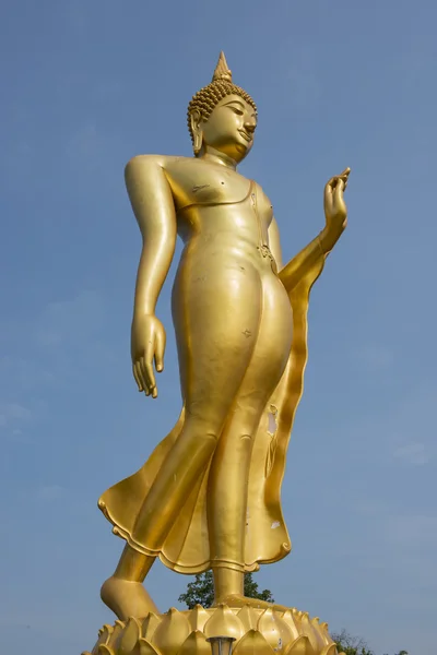 Estátua de buda dourada em pé Tak, Tailândia — Fotografia de Stock