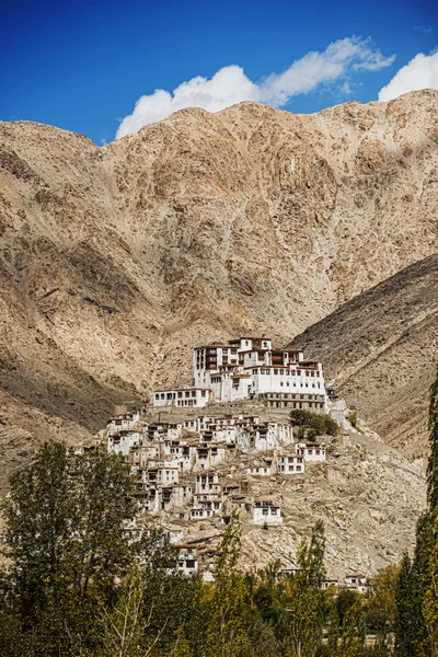 Chemdey Gompa, buddhistický klášter Ladaku, Indie - září 2014 — Stock fotografie