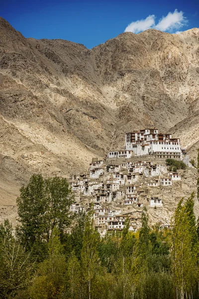 Chemdey Gompa, buddhistický klášter Ladaku, Indie - září 2014 — Stock fotografie