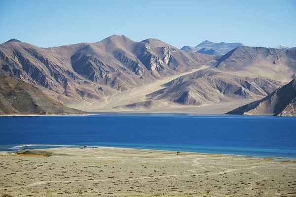 班公湖这个湖 Leh 拉达克，印度-2014 年 9 月 — 图库照片