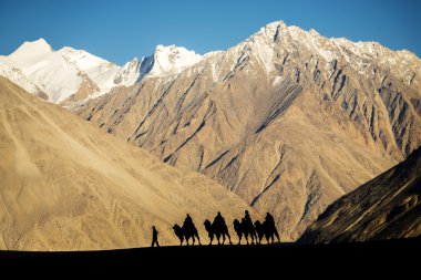 Deve Nubra Vadisi Ladakh, Hindistan sürme karavan gezginler siluet