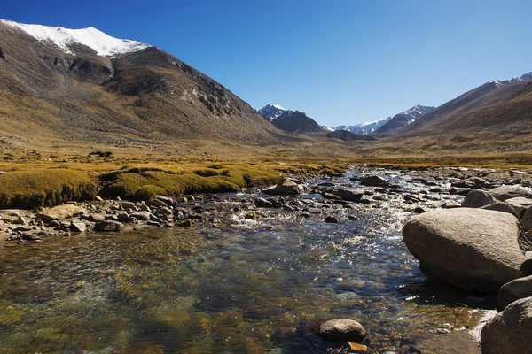 Himalaya nehir Ladakh üzerinden nubra Vadisi giderken