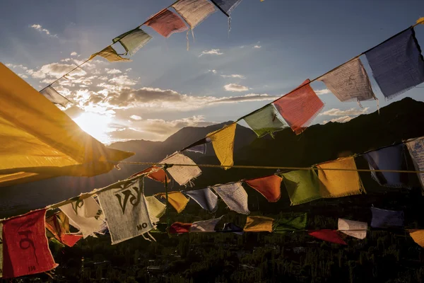 Oyuncu bayrağı üst kısmında Namgyal Tsemo Manastırı Leh Ladakh, Hindistan — Stok fotoğraf