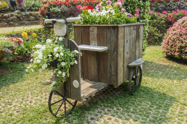 Mae Fah Luang Bahçe. Chiangrai, Tayland