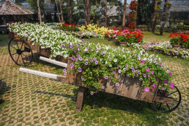 Mae Fah Luang Bahçe. Chiangrai, Tayland