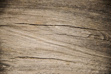 Doku ve ağaç arka plan ağaç kabuğu