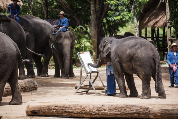 Tägliche Elefantenshow im thailändischen Elefantenschutzzentrum. — Stockfoto