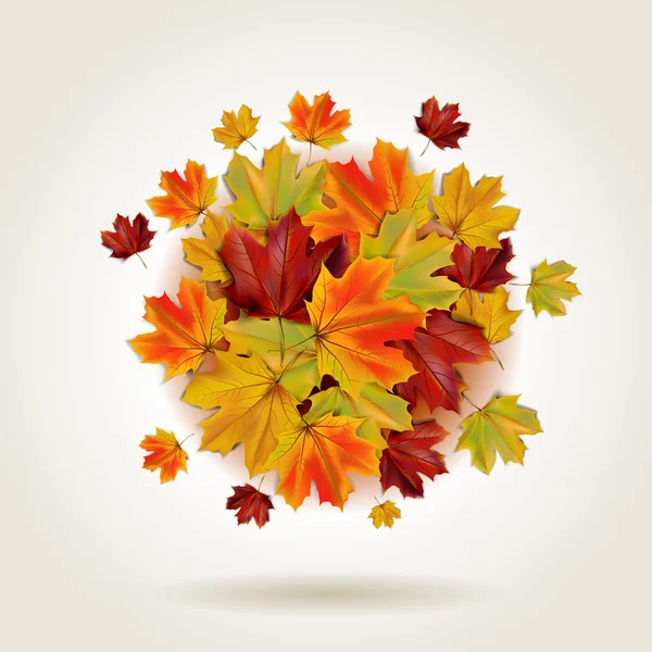 Renkli sonbahar yaprakları — Stok Vektör
