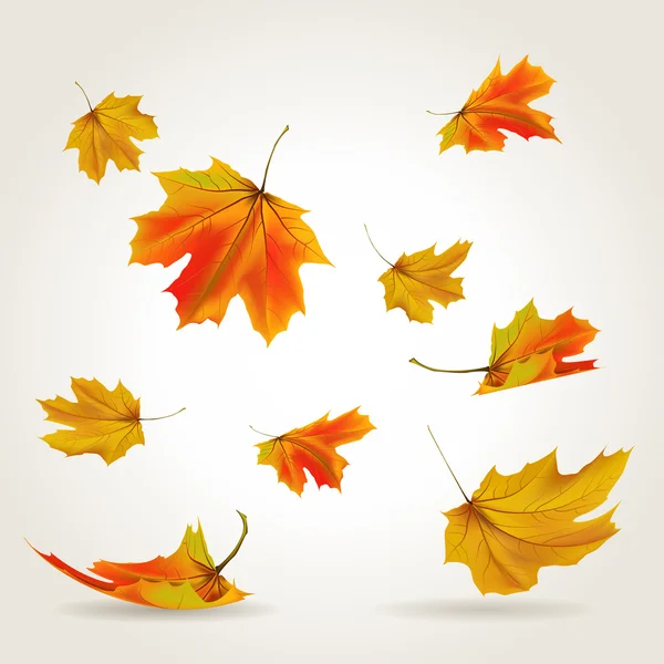 Feuilles tombantes — Image vectorielle