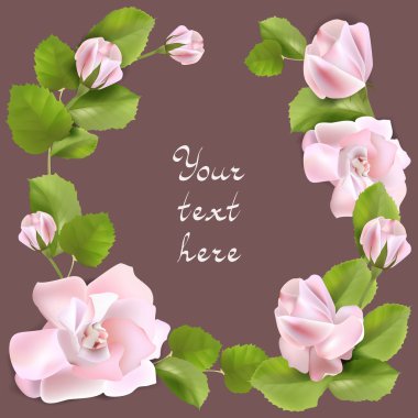 Bahar çiçeği arkaplanı